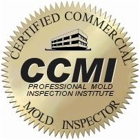 CCMI Logo CCMI Logo